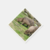 Serviette En Papier Capybara hydrochaeris (Coin)