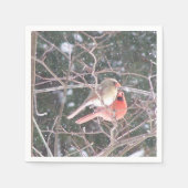 Serviette En Papier Cardinal Cocktail Napkins (Devant)