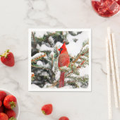 Serviette En Papier Cardinal dans un pin (En situation)