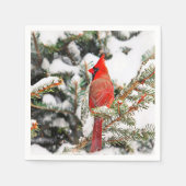Serviette En Papier Cardinal dans un pin (Devant)