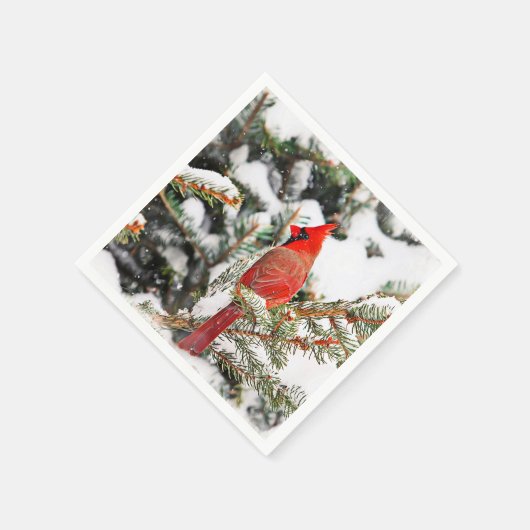 Serviette En Papier Cardinal dans un pin (Coin)