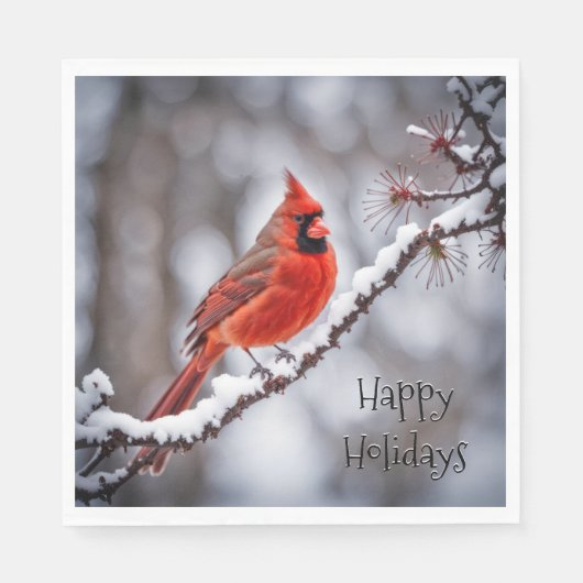 Serviette En Papier Cardinal de Noël à la Branche d'hiver (Devant)