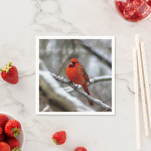 Serviette En Papier Cardinal masculin (En situation)