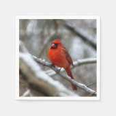 Serviette En Papier Cardinal masculin (Devant)