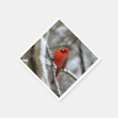 Serviette En Papier Cardinal masculin (Coin)