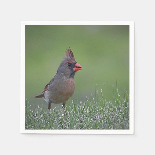 Serviette En Papier Cardinal Napkin (Devant)