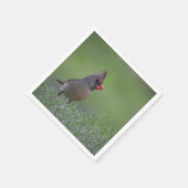 Serviette En Papier Cardinal Napkin (Coin)