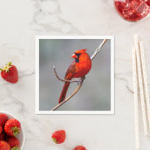 Serviette En Papier Cardinal Papier Napkin (En situation)
