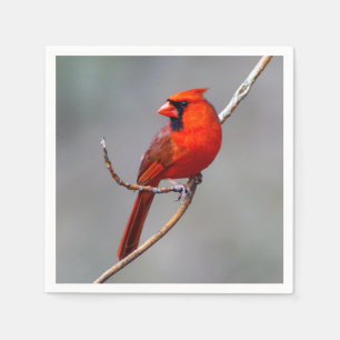 Serviette En Papier Cardinal Papier Napkin