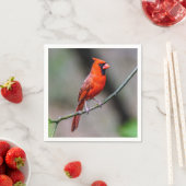 Serviette En Papier Cardinal Papier Napkin (En situation)