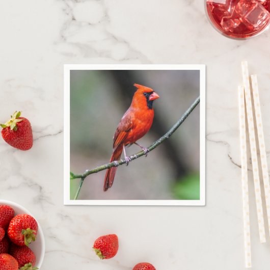 Serviette En Papier Cardinal Papier Napkin (En situation)