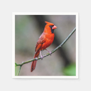 Serviette En Papier Cardinal Papier Napkin