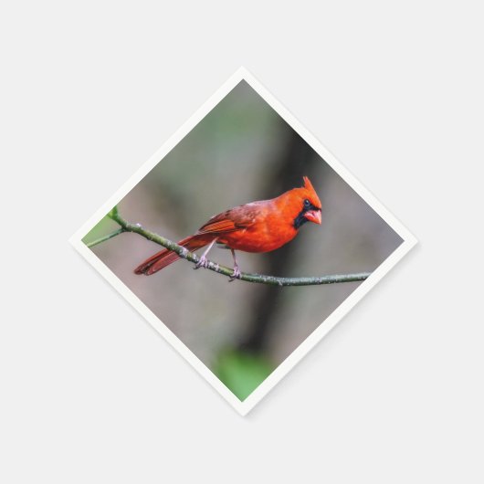 Serviette En Papier Cardinal Papier Napkin (Coin)