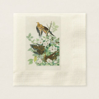 Serviette En Papier Carolina Turtle Dove John Audubon Oiseaux d'Amériq