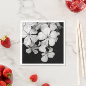 Serviette En Papier carte postale n&b (En situation)