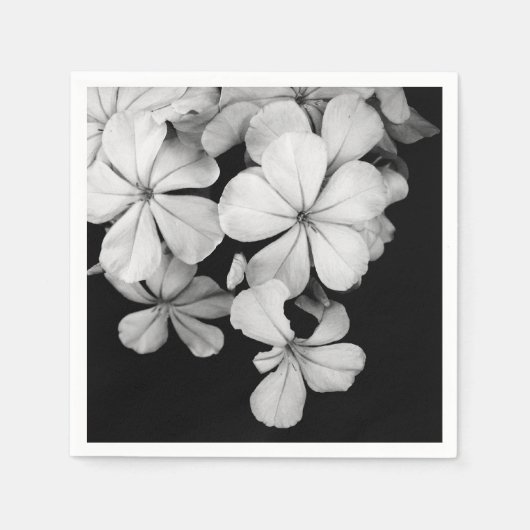Serviette En Papier carte postale n&b (Devant)