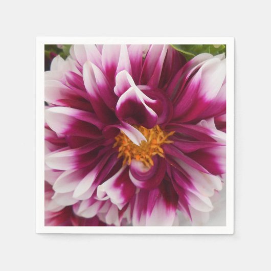 Serviette En Papier Cartheuserine (Devant)