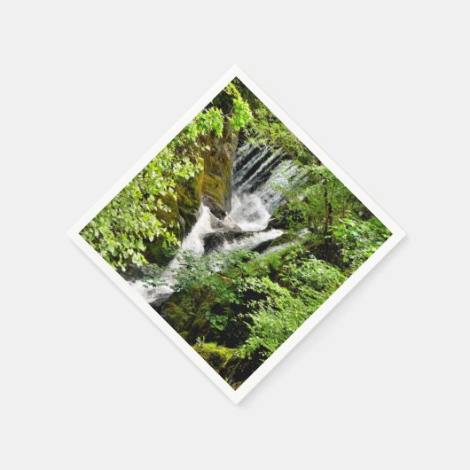 SERVIETTE EN PAPIER CASCADE (Coin)