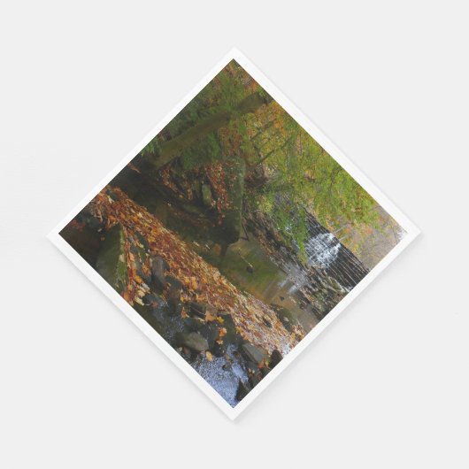 Serviette En Papier Cascade automnale et Creek Pennsylvania Nature (Coin)