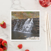 Serviette En Papier Cascade du parc national Laurel Hill I (En situation)