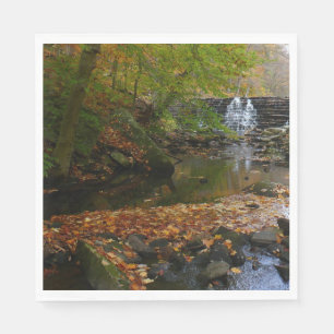 Serviette En Papier Cascade et ruisseau d'automne en Pennsylvanie Natu