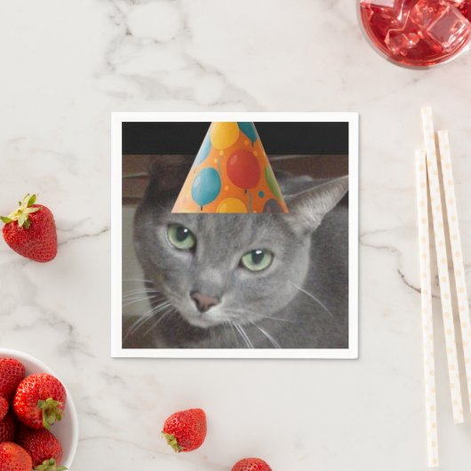 Serviette En Papier Casquette du parti Gray Cat (En situation)