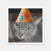 Serviette En Papier Casquette du parti Gray Cat (Devant)