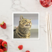 Serviette En Papier Cat (En situation)