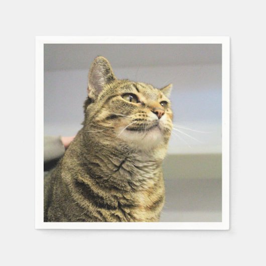 Serviette En Papier Cat (Devant)