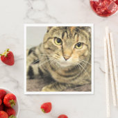 Serviette En Papier Cat (En situation)