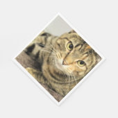 Serviette En Papier Cat (Coin)