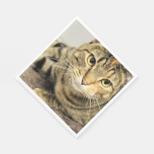 Serviette En Papier Cat (Coin)