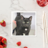 Serviette En Papier Cat (En situation)