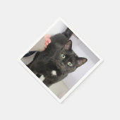 Serviette En Papier Cat (Coin)