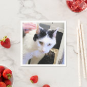 Serviette En Papier Cat (En situation)
