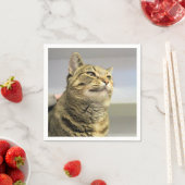 Serviette En Papier Cat (En situation)