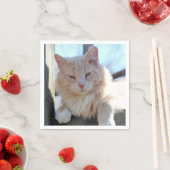 Serviette En Papier Cat (En situation)