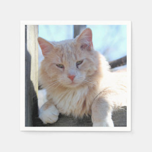 Serviette En Papier Cat