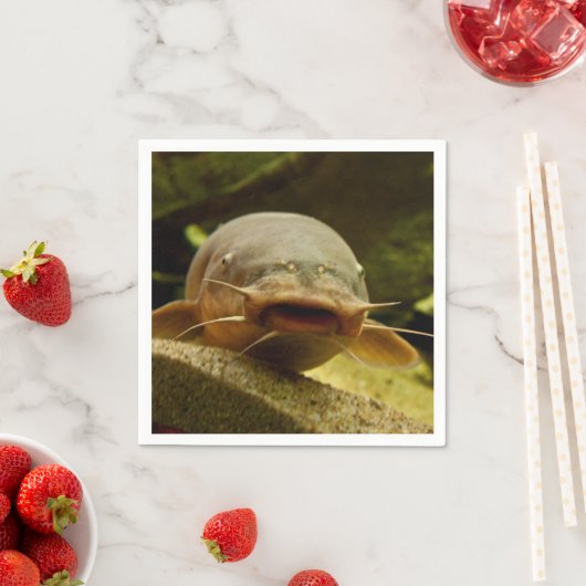 Serviette En Papier Catfish (En situation)