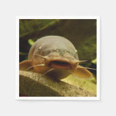 Serviette En Papier Catfish (Devant)