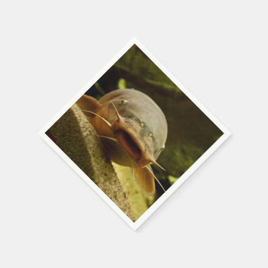 Serviette En Papier Catfish (Coin)