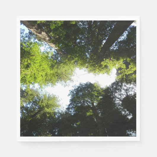 Serviette En Papier Cercle de séquoias au parc national Redwood (Devant)