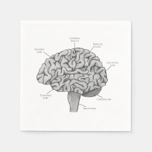 Serviette En Papier Cerveau scientifique