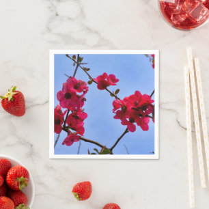 Serviette En Papier Chaenomeles speciosa Papier serviettes