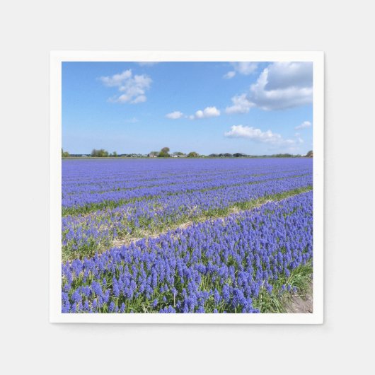 Serviette En Papier Champ de Hyacinthes (Devant)