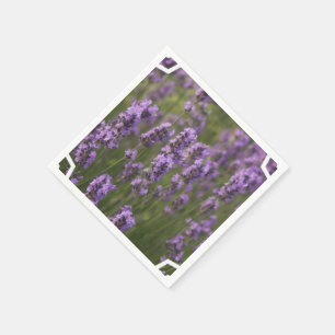 Serviette En Papier Champ de lavande