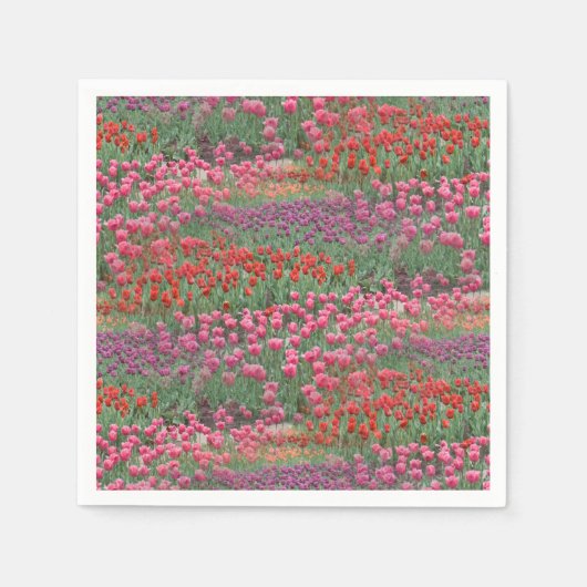 Serviette En Papier Champ De Tulipes (Devant)