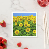 Serviette En Papier Champs de tournesol (En situation)