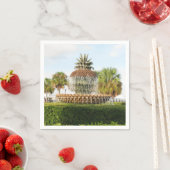 Serviette En Papier Charleston SC Pineapple Fountain, Waterfront Park (En situation)
