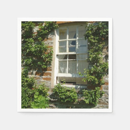 Serviette En Papier Charmant cottage anglais I (Devant)